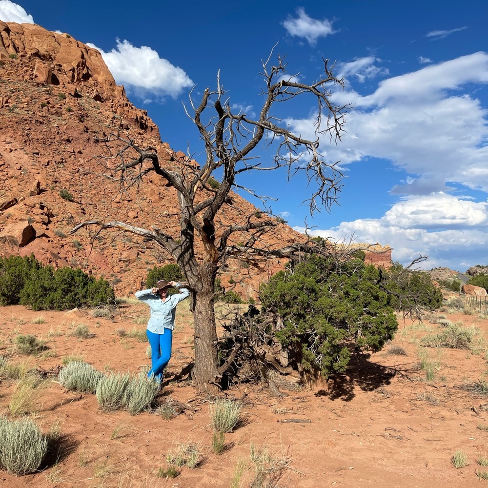 Meet your Posher, Simran-Raj 🎉